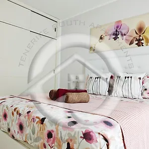 https://janias-alcala-apartment.in-canary-islands.com